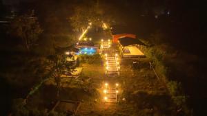 Dandeli Lake leaf - Dandeli Resort