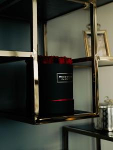 Sunset Penthouse Antwerp