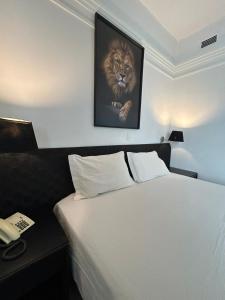 Tropical VIsão da Ponta Negra