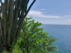 Unique Mexican Charm Cliffside Villa Casa Linda
