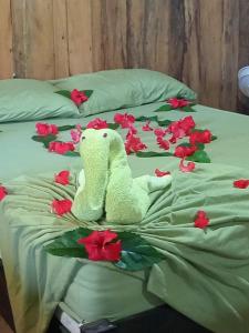 Hotel la montaña el trogon