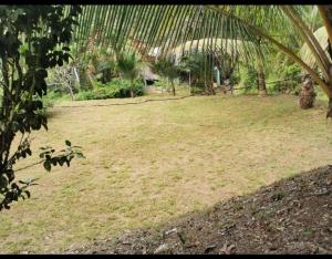 Hotel la montaña el trogon