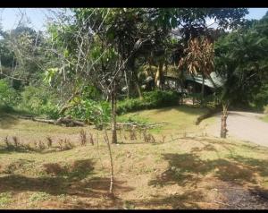 Hotel la montaña el trogon