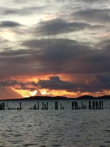 Ferienwohnung BoddenBee