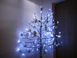 Home DreamErstein3P60m2