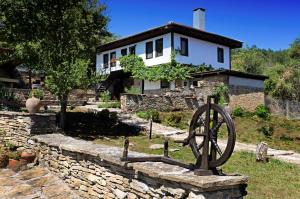 Guest House Stone Paths