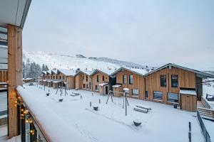 Levikaira Apartments - Chalet Ski-In Ski-Out