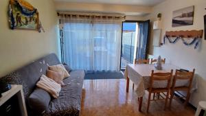 Appar T2 3 lits vue montagne terrasse vielle aure