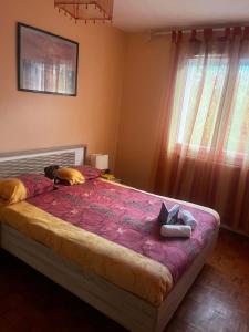 Appartement T3 Parking - Bordeaux