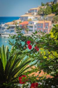 Dionos Villa with Jacuzzi