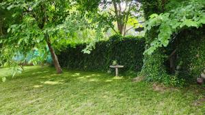 Quinta Las Moras, historias en la naturaleza