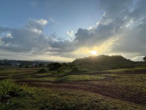 Titus Parra Coconut Paradise villa