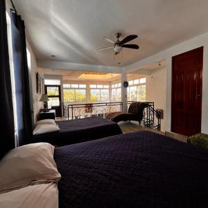 Casa Dunn by Don Pascual