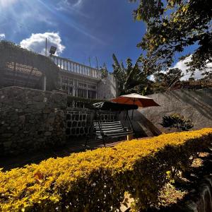 Casa Dunn by Don Pascual