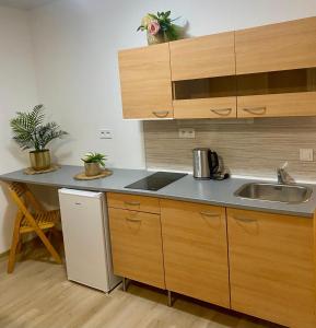 APPOVEL Balkon Studio 5 - Stay Olomouc Cz