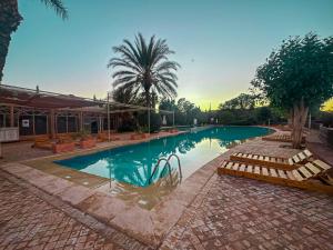 le cocon de la Palmeraie - Piscine et jardin -