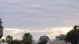 Arriendo Depto Reñaca