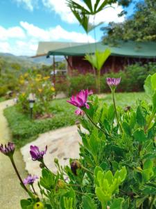 Finca AVALON Alejandria Antioquia