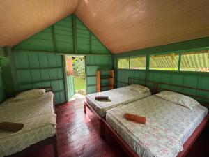 Complejo Ecoturistico Tamandua