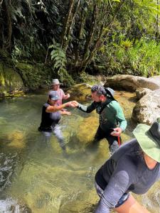 Finca AVALON Alejandria Antioquia