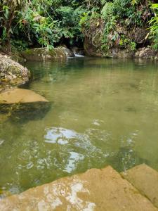 Finca AVALON Alejandria Antioquia