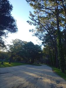 Gaia Miramar - sea and nature