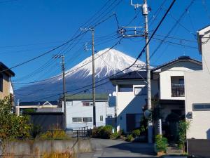 Frog Inn - Entire House for Private Use