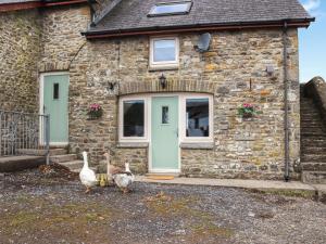 Teifi Cottage - Uk49590