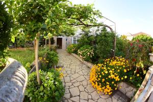 Apartment Sucuraj 16404b