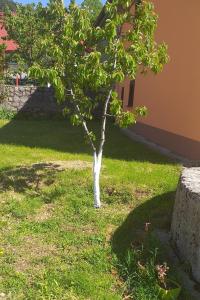 Holiday house with a parking space Volarice, Senj - 24883