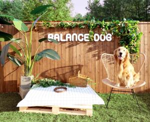 밸런스독 애견펜션 Balance Dog Pet Pension