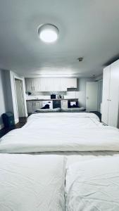 Premium flat in the Heart of Dublin City