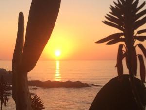 Eurovista , Primera Línea Reñaca