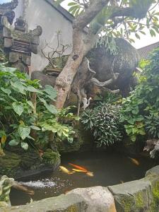 Dewi Antara Homestay