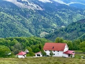 Casa Maria Valea Draganului