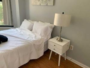 South Loop 4 Bedroom apt