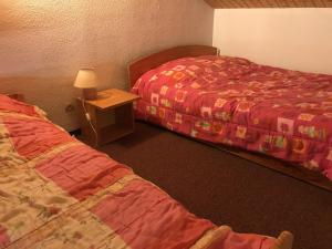 Duplex T2bis cosy avec balcon et WIFI, animaux admis, pour 6 pers. - FR-1-836-39