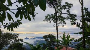 Rural Cabin Among Clouds