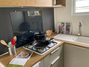 Mobil-home avec Terrasse pour 5 Personnes à Saint-Pierre-dOléron - API-1-52-987