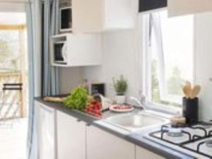 Mobil-home avec Terrasse à Roquebrune-sur-Argens - API-1-52-984