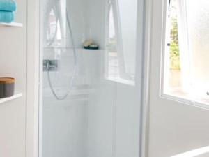 Mobil home confortable avec terrasse - API-1-52-1015