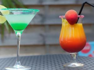 Mobil home confortable avec terrasse - API-1-52-1015