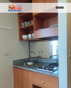 Depto 1D 1B Basico Valle Escondido de Paicaví