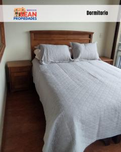 Depto 1D 1B Basico Valle Escondido de Paicaví