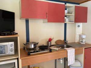 Chalet 5 pers - PMR - Terrasse spacieuse - API-1-52-1017