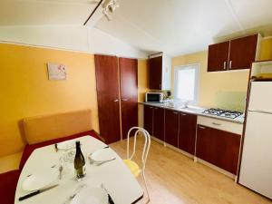 Mobil-home 3 pièces avec terrasse à Camon - API-1-52-1043