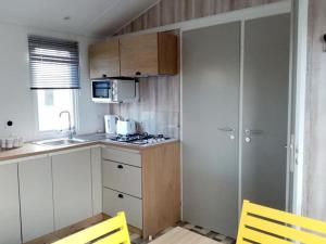 Mobil home confortable - 6 personnes - Tréguennec - API-1-52-1047