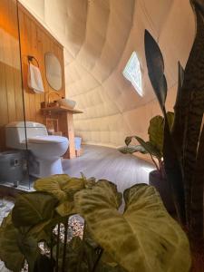 Epífita, Bosque Nuboso Glamping Monteverde