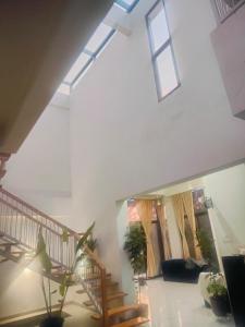 Green Courtyard Luxury Villa