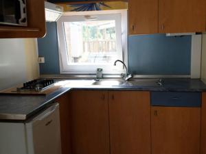 Mobil-home confortable avec terrasse à Villecroze - API-1-52-1089